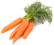 carrot